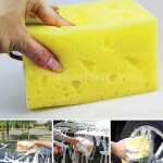Car Washing Coral Sponge